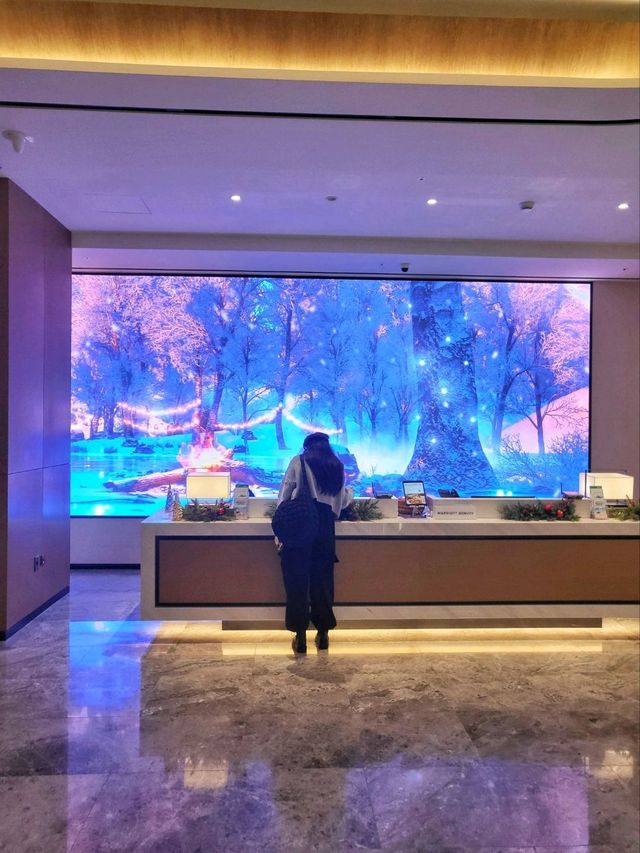 세종시 도심 시티뷰 야경이 멋있었던 충남호텔🏨