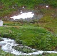 รถไฟสาย Myrdal – Flam (Flambana)
