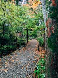 🇯🇵日本東北👣 秋田縣角館武家屋敷🍁
