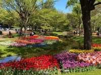 Showa Kinen (Memorial) Park