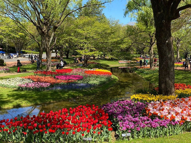 Showa Kinen (Memorial) Park