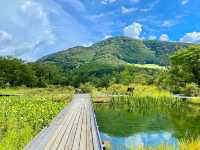 Hokane Botanical Garden of Wetlands