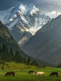 吉爾吉斯斯坦：中亞的壯麗山景與豐富文化🏔️🌄