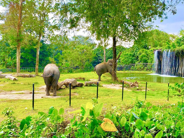 Negara Zoo in KL