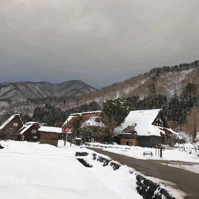 漫步日本夢幻山中村落【白川鄉合掌村】