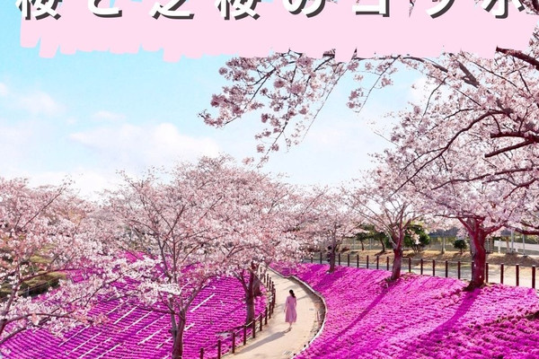 1mi1t224x8u0gbw864EA6_R_600_40