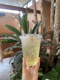 🌳Locals.hdyคาเฟ่หาดใหญ่ที่คนดังมาเช็คอินเพียบ!🪵