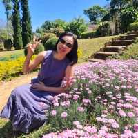  โครงการณ์ส่วนพระองค์ขุนวาง หลังนางพญาโรย
