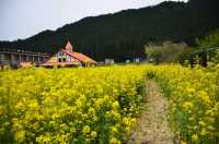 【都ホテル 岐阜長良川】ホテルスタッフおすすめ観光コース 「ぎふ旅巡り」vol.1『山県市近郊　春・満喫コース』