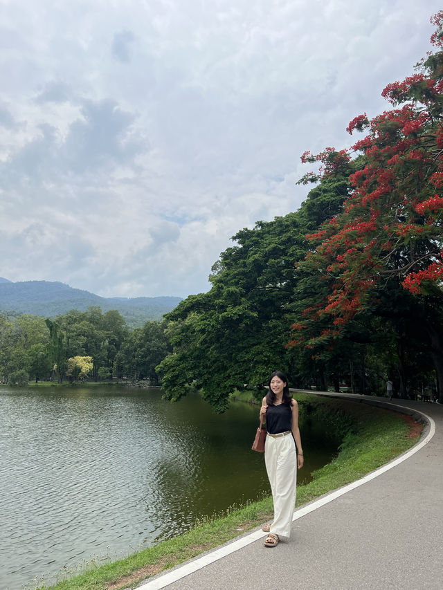 자연을 듬뿍 느낄 수 있는🌿🌳 ‘치앙마이대학교’