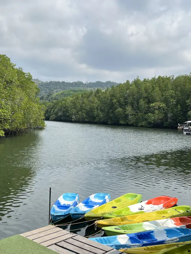 Mangrove Cafe & Eatery 小巧悠閒的平房咖啡館
