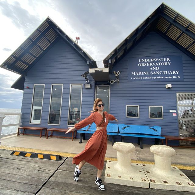 Lovely Busselton Jetty Train Ride