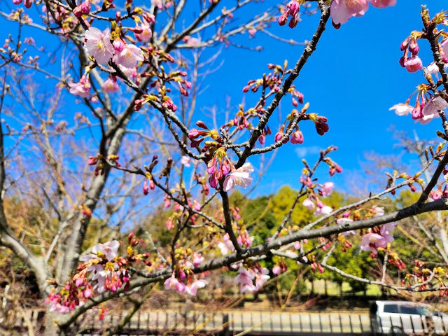 Umami-kyuryo Park 