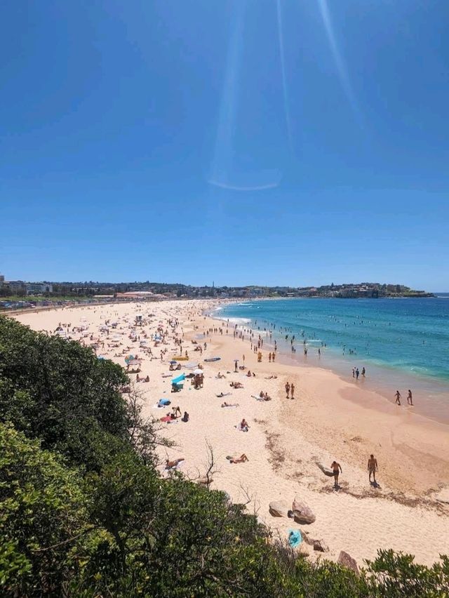 Bondi Beach Iceberg Club