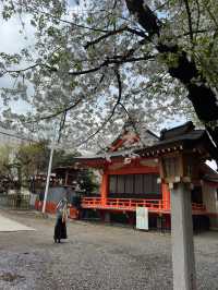 新宿花園神社～櫻花盛宴