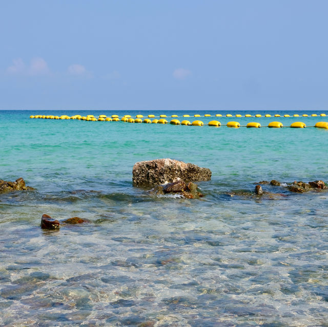 ถ่ายรูปกับห่าน หาดเทียน เกาะล้าน ชลบุรี