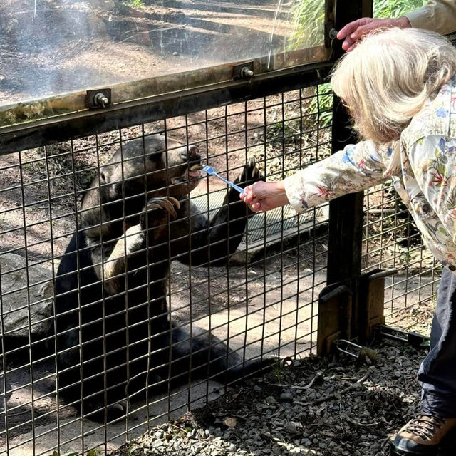 National Zoo & Aquarium Canberra 🦘🦛🐯