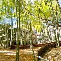 【医王山薬寿院 八王寺/埼玉県】ユーモラスな願いを叶える⁉︎寺院