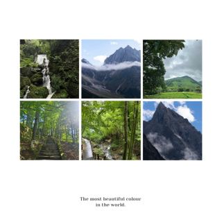 Zaandam Mountain: Pristine forests ~ Magnificent nature