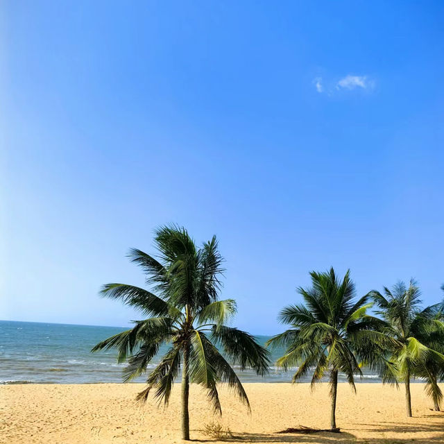 新原沙灘：天然海灘，世外桃源