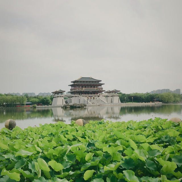 Exploring Tang Paradise, Xi’an 🇨🇳