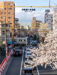 【雑誌風】東京周辺の桜撮影スポット７選！FOCUS Vol.002