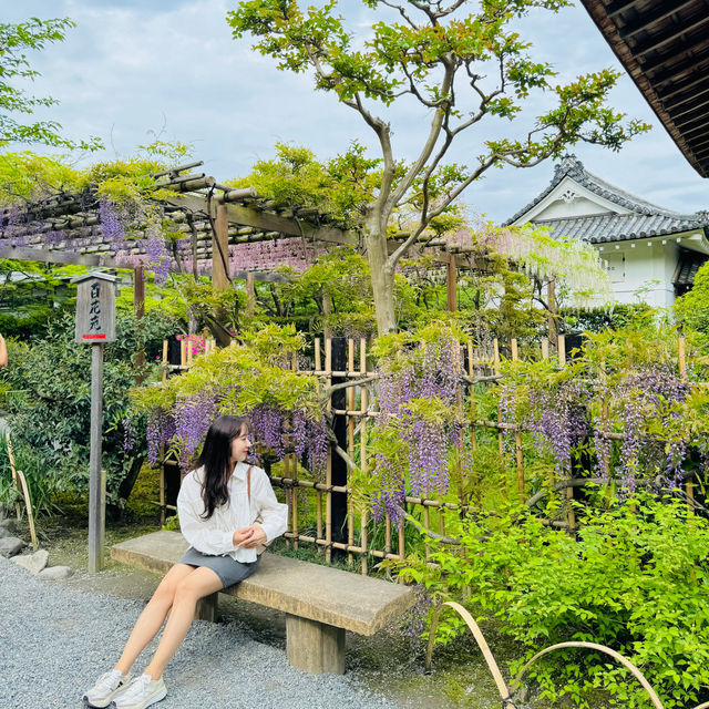 텐류지의 고즈넉한 정원 즐기기