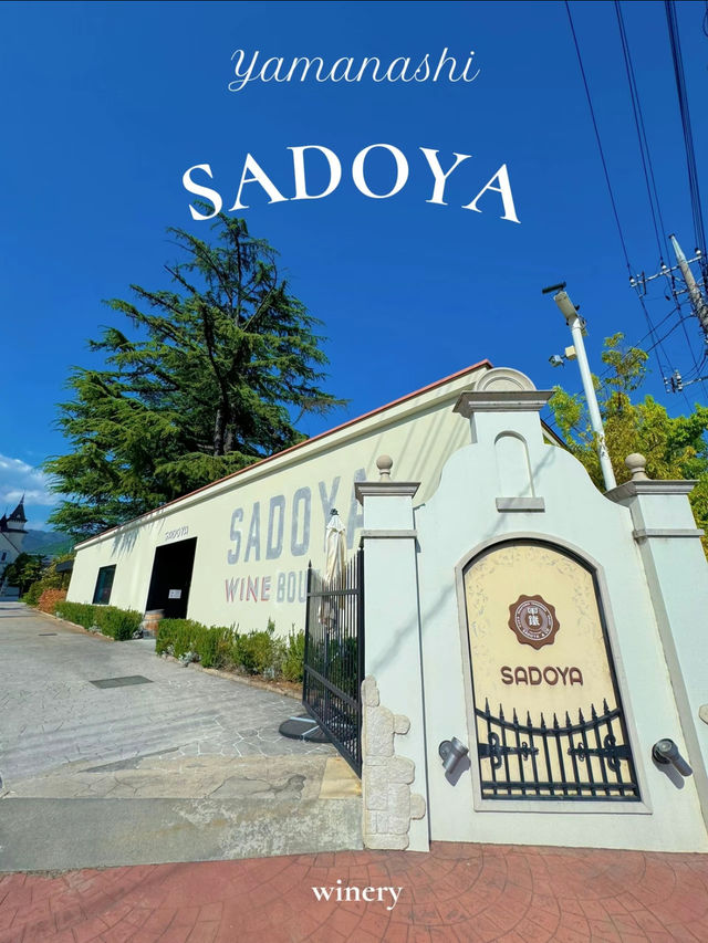 まるで南フランス🍷🇫🇷優雅なワイナリーでおしゃれな休日をすごしませんか？😋🤍【山梨・甲府】