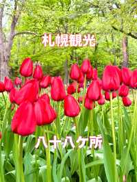 札幌　札幌観光　初春の円山八十八ケ所＆坂下野球場の散策！