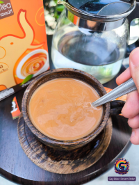 Chiang Mai Escape: Motorcycle Madness!