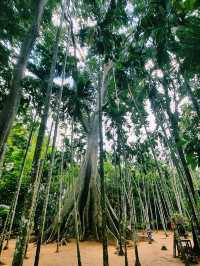 The Giant Tree