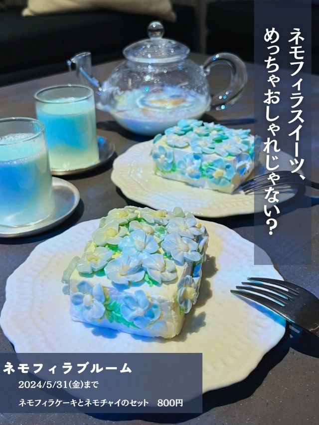 １人一泊5000円前後～❗コスパ最強❗星野リゾート
