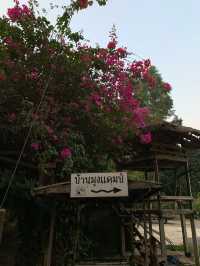 ย้อนเวลาไปเที่ยวพิษณุโลก