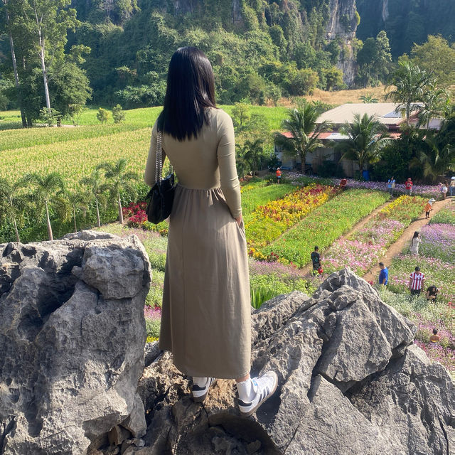 เนินมะปราง