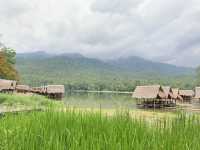เที่ยว “ห้วยตึงเฒ่า” บรรยากาศฤดูฝน 