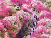 昼神溫泉阿智村桃花之里