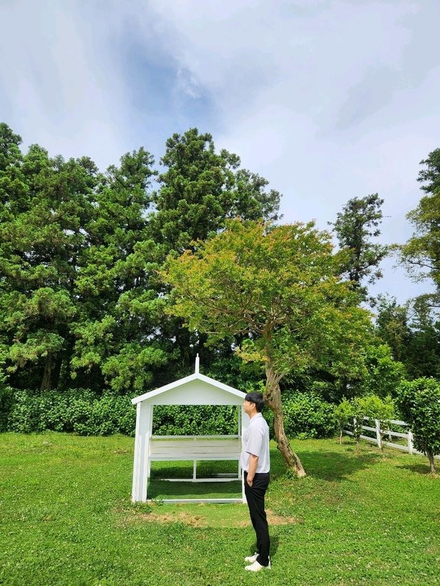 가족들과 또 가고싶은 아침미소목장❤️