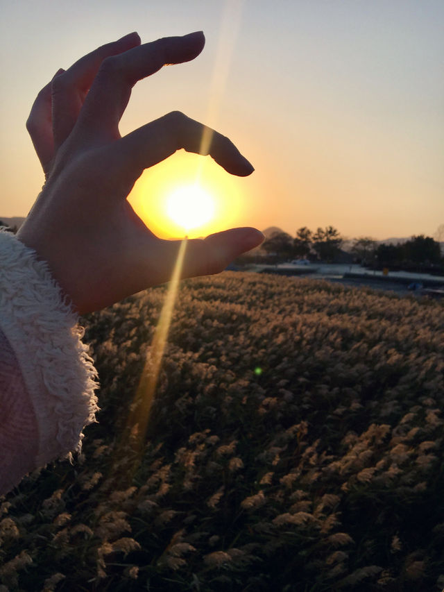【全羅南道】順天灣濕地庭園：感受大自然的詩意，隨處可見的湖光山色