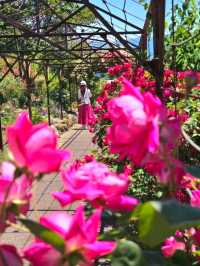 【大分/天国の花畑】天空に見たこともない美しい場所があった！！