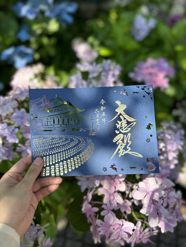 〜神奈川県〜人気紫陽花スポット！混雑回避プラン