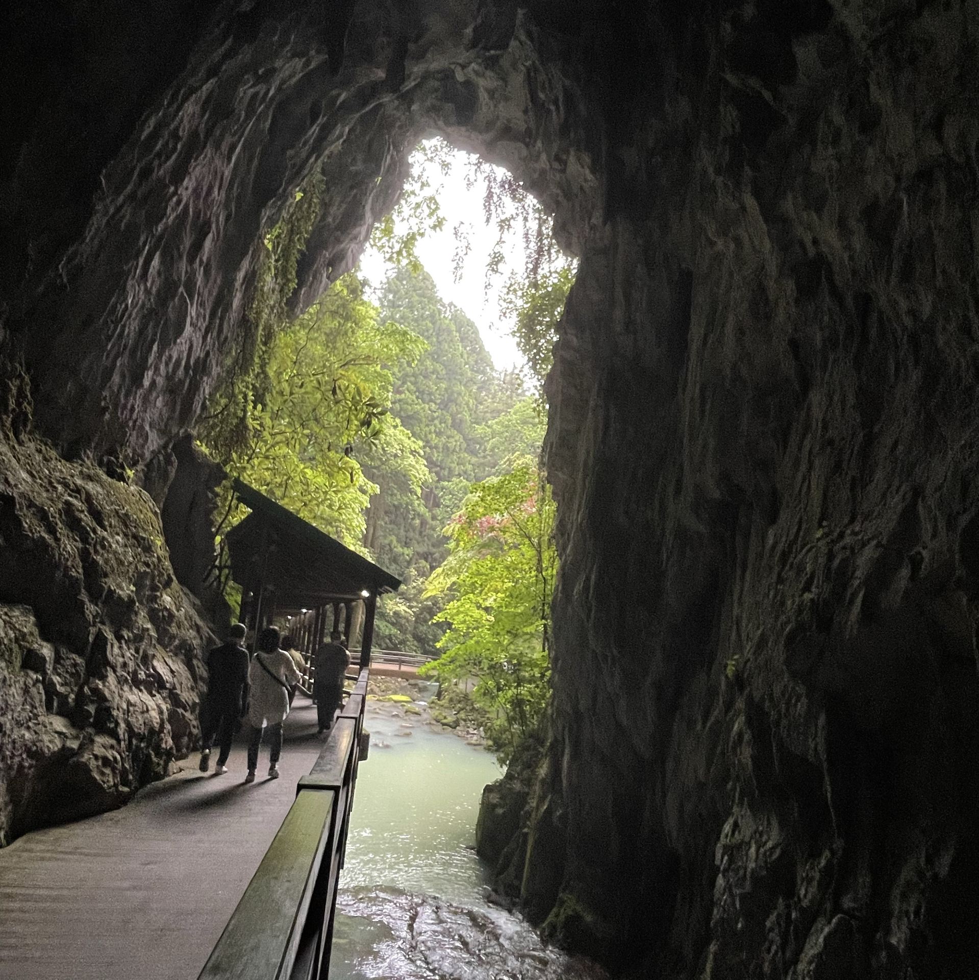 [Yamaguchi] The beauty of nature