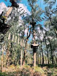 Treetops Adventure Yeodene Park