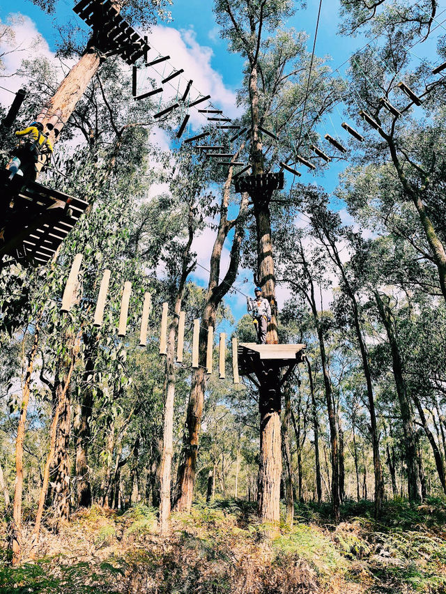 Treetops Adventure Yeodene Park