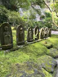〜神奈川県〜1度は行こう🎋爽やか鎌倉の名スポット