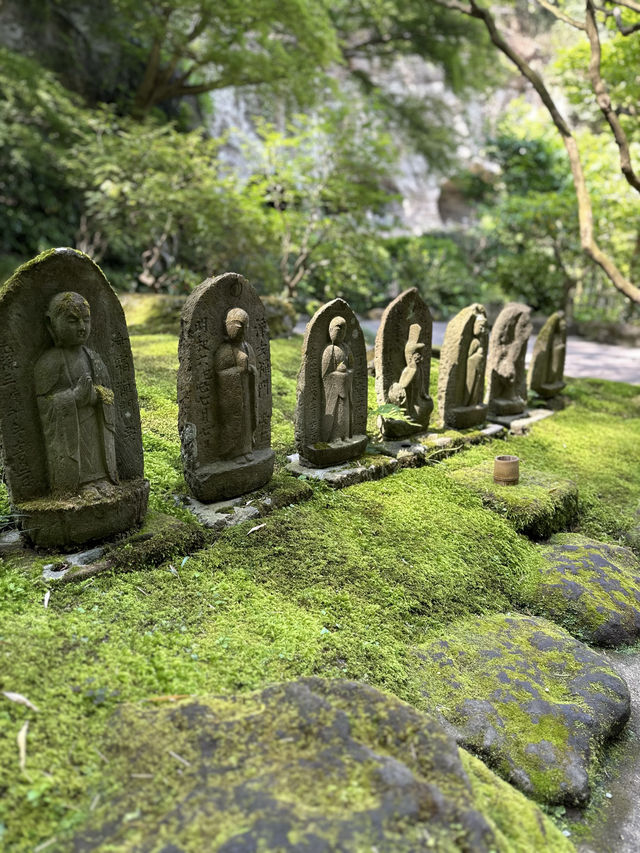 〜神奈川県〜1度は行こう🎋爽やか鎌倉の名スポット