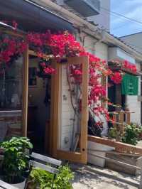 【福岡カフェ】ブーゲンビリアが咲きほこる初夏にぜひ行きたいカフェ