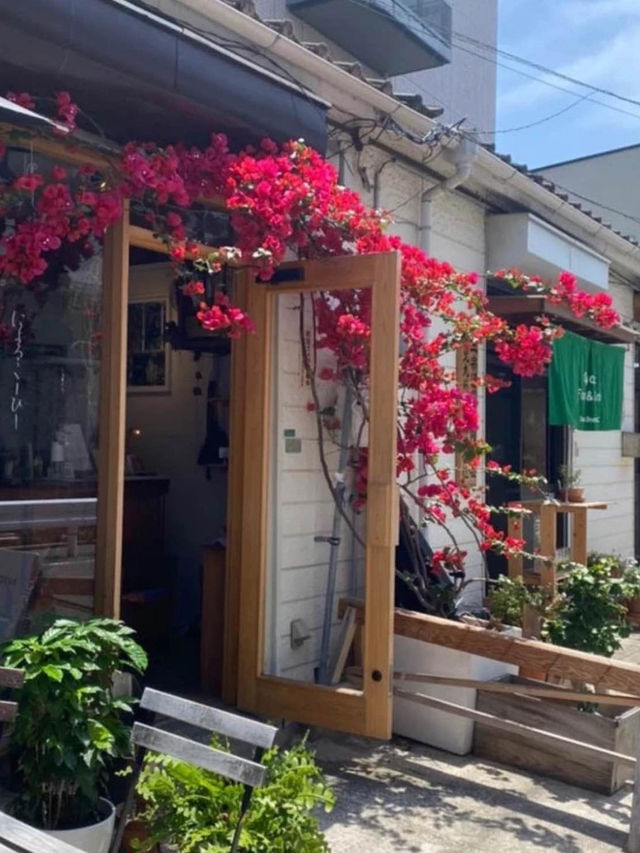 【福岡カフェ】ブーゲンビリアが咲きほこる初夏にぜひ行きたいカフェ
