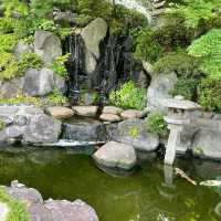 【鎌倉】長谷寺のあじさい！人気の紫陽花路を散策