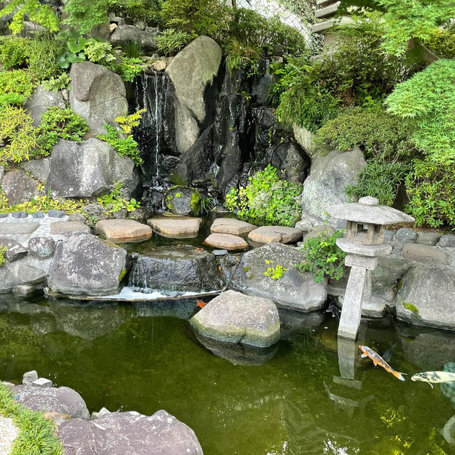 【鎌倉】長谷寺のあじさい！人気の紫陽花路を散策