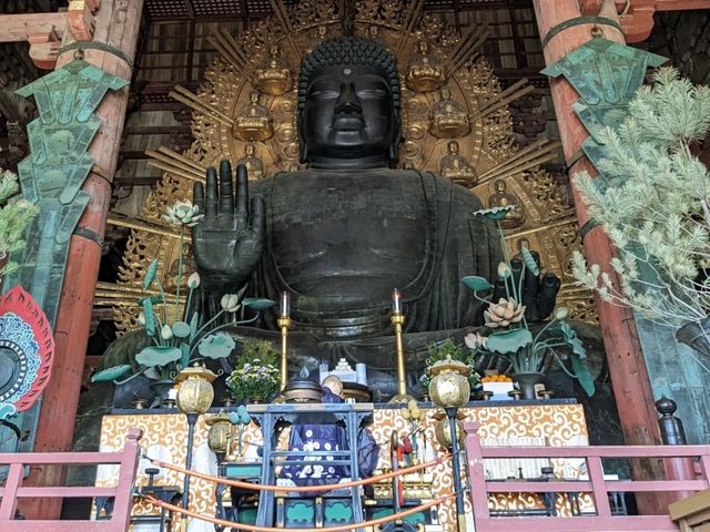 日本奈良-參拜世界遺產的青銅巨佛：東大寺